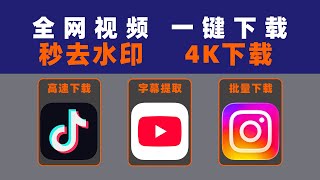 永久免费 全网4K无水印下载神器一键保存Youtube抖音Tiktok高清视频素材