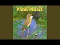Chapter Great Tit Wood Pigeon Cuckoo Great Crested Grebe Trzciniak The Crow Chaffinch Mp3 - Mp4 Download
