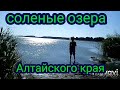 Озеро Горькое. Соленые озера Алтайского края.