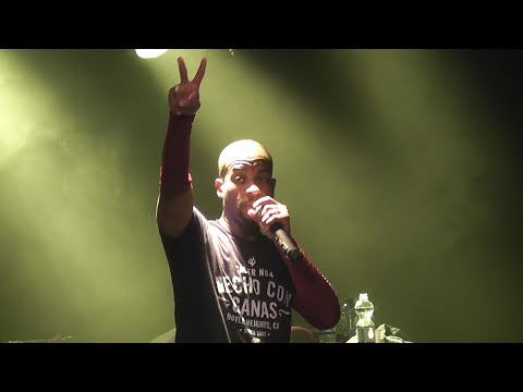 Masta Ace - Born to Roll (Live!)