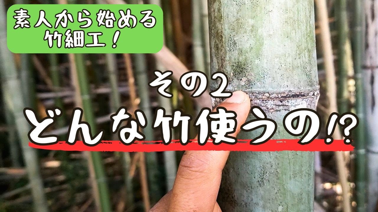 ②竹細工はどんな竹使えばいいの？種類や特徴について【初心者向け