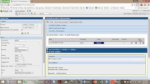 TESTLINK PART 6 EXECUTION TESTS