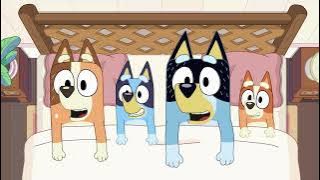 Bluey Music: Dunny Unknown Track