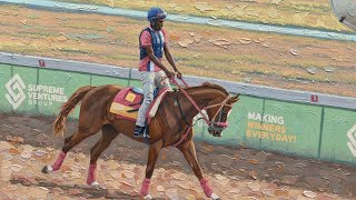 Details EVERTON NEVER TIRED MILLER MIXING IT UP ON THE EXERCISE TRACK CAYMANAS PARK 25/08/26 News