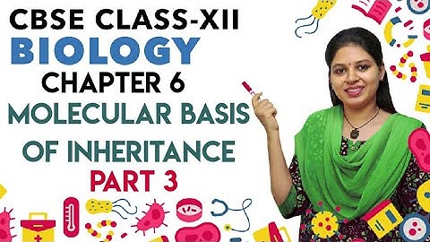 Molecular Basis of Inheritance | Part 3 | Class 12 | Biology | CBSE | NEET