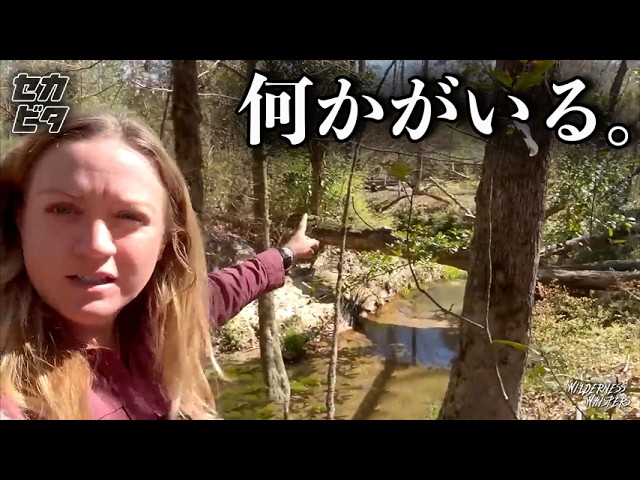 CRまわるくんSP】大同のリミッター付き権利物（レトロパチンコ） - YouTube