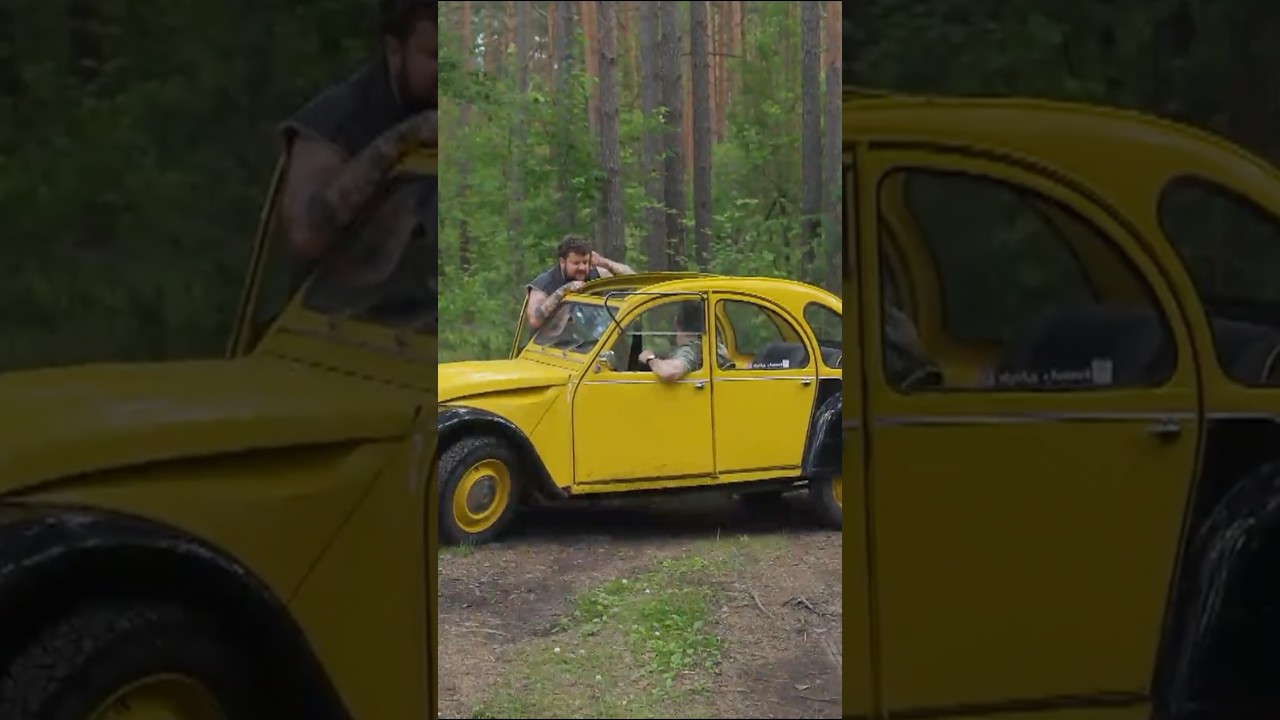 „Varkė Labdarkė. Turginio dienoraštis” naujas epizodas jau LNK.LT 