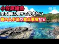 【母島釣り情報】餌釣りで魚釣り！餌の入手法や禁止事項【小笠原諸島】海釣りする前に知っておきたい現地情報 Sea fishing vol.4