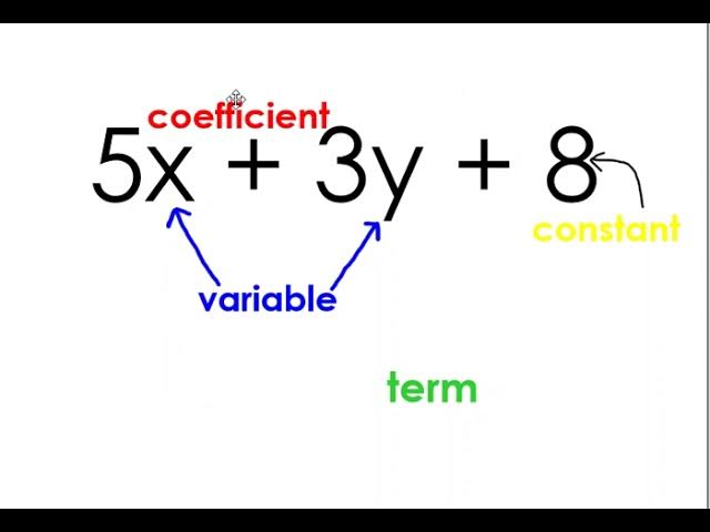 Expression- Term, Factor, Coefficient :Definition and examples - Cuemath