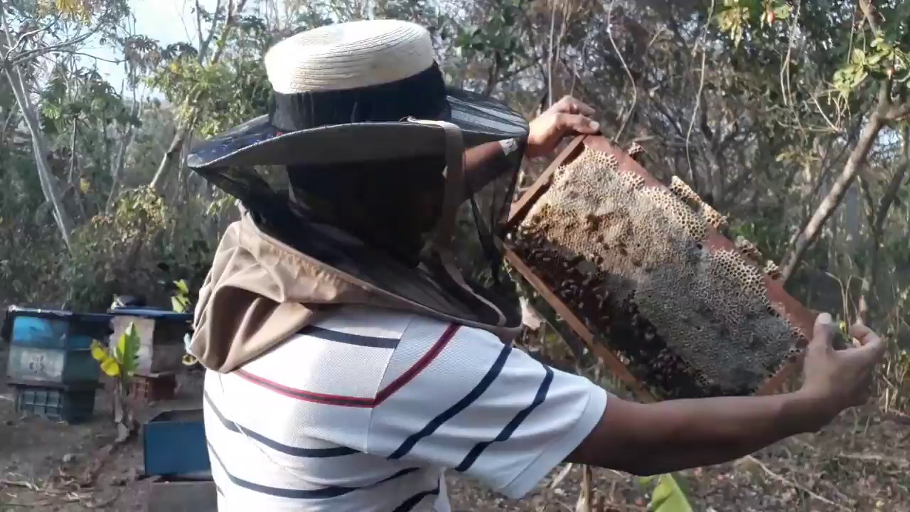 otra forma de hacer nucleos