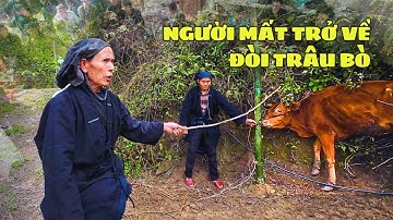 Sự thật lạnh gáy ở vùng cao: Nghi lễ mổ bò cho người đã khuất