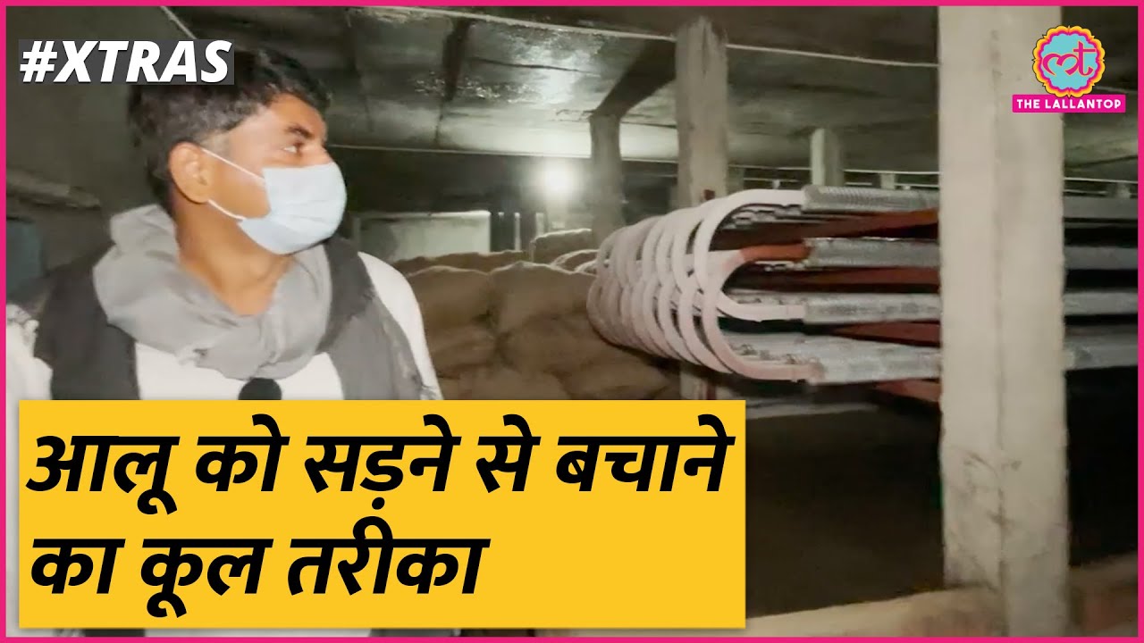 Cold Storage में आलू को सड़ने से बचाने के लिए क्या-क्या किया जाता है?