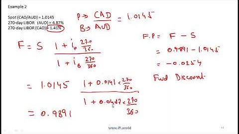 Demo Video CFA level 2 R13 Currency Exchange Rates Lecture 2