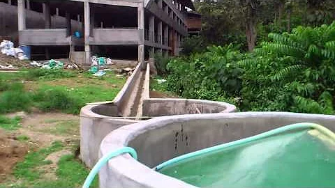 Biogas from piggery waste- Batangas, Philippines