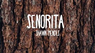 Shawn Mendes & Camila Cabello - Señorita (Lyrics) chords