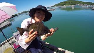 台風後の筏で釣りをしたら、過去最大に、、、。（鳥羽）