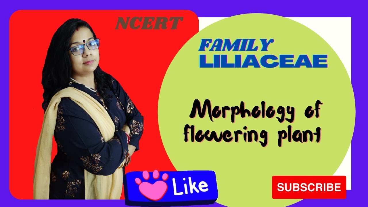 | To study the morphology of flowering plant  | Family Liliaceae |  Angiospermic plant study |