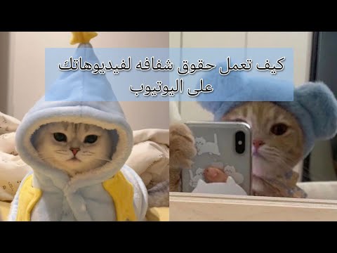 كيف تعمل حقوق شفافه لفيديوهاتكم على اليوتيوب ببرنامج in shot 🤔