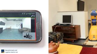 Celebrity SIP video telephone for Android with integrated remote control for robots Net Worth
