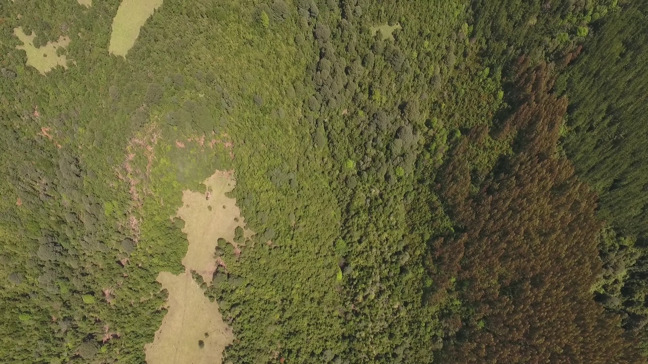 Panorámica Montaña y Vistas