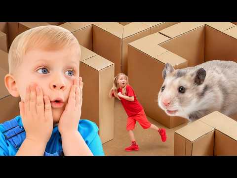 Labirinto de hamster e Aventuras Incríveis com Roma e Oliver!