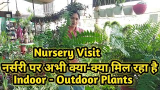 Nursery Visit नर्सरी पर अभी क्या-क्या मिल रहा है    Indoor - Outdoor Plants variety 