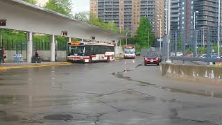 TTC 2004 OBI Orion Vll OG #7602 @ Victoria Park Station