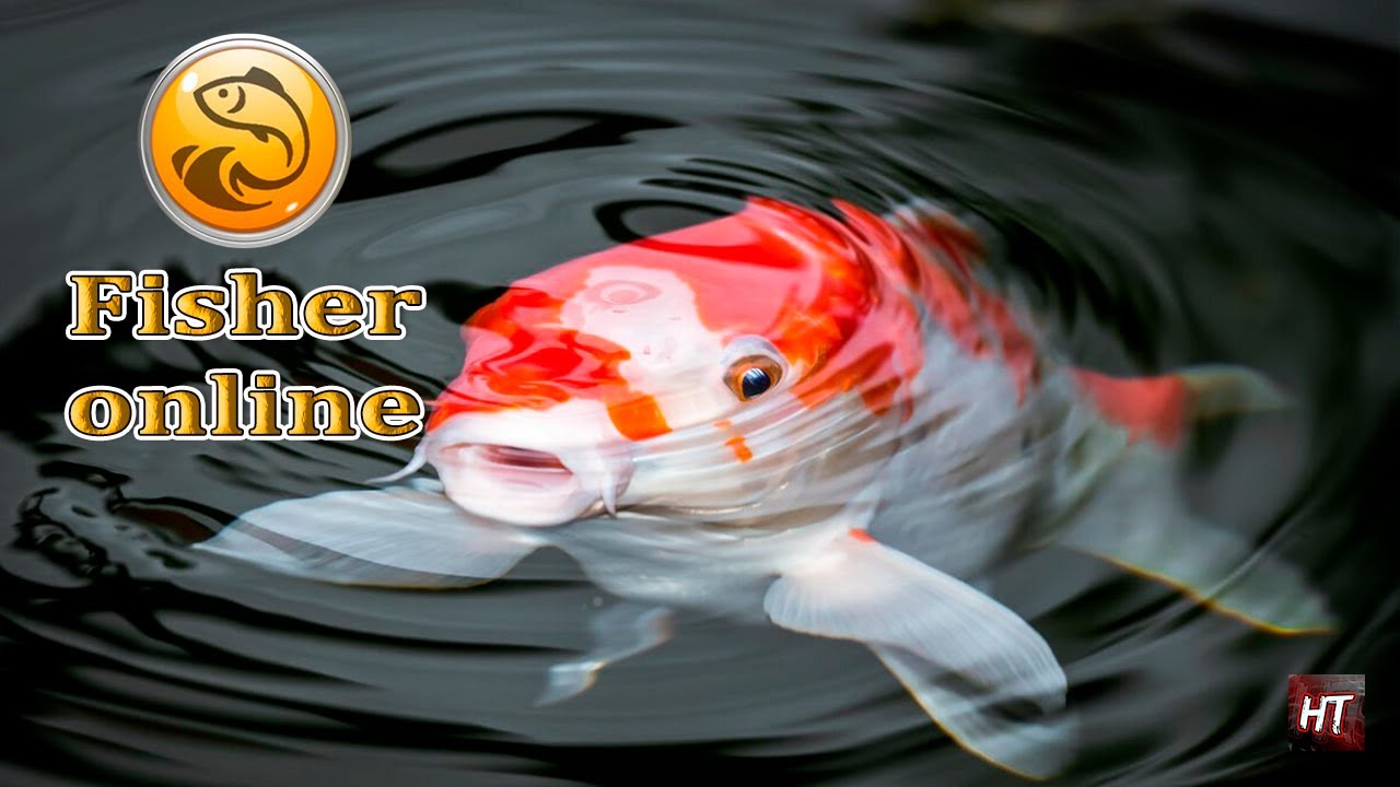 Fisher Online - Китай! \ Карпы Кои и другое!