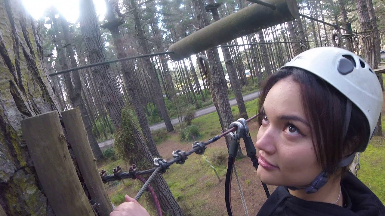 Tree Adventures Course 8