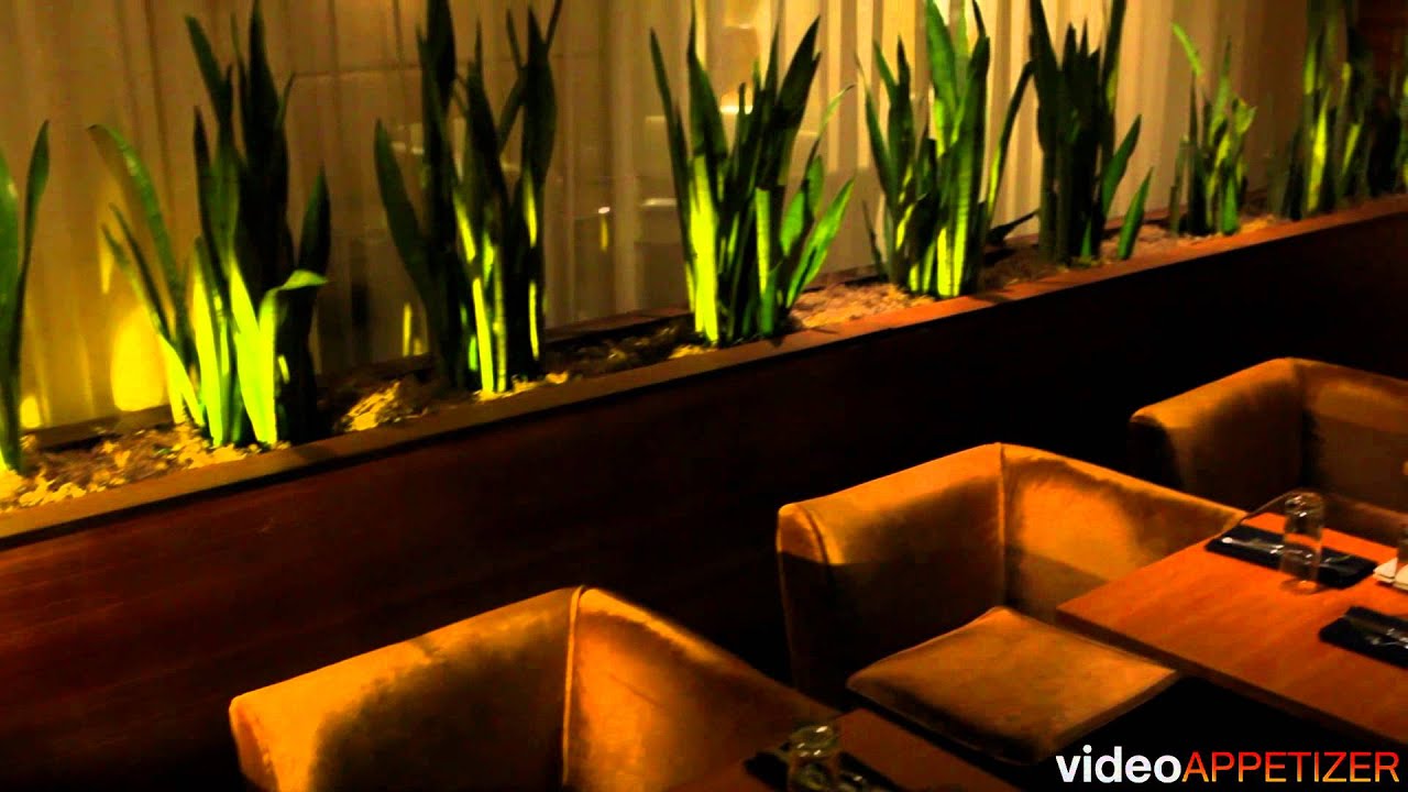 The Drawing Room - Video Appetizer