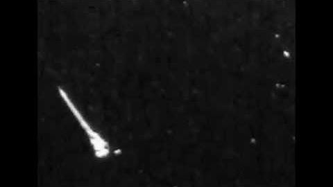 A zebrafish larva hunting