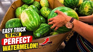 You're Picking Watermelons Wrong... Here's the Easy Trick! 🍉