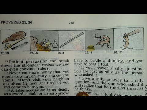 Proverbs 26 Don T Return To Foolishness