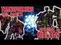 TRANSFORMERS: THE BASICS ep 3 - Biology