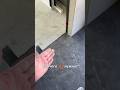 Заказчик перестраховался 😁#ремонт #epoxy #ремонтквартир #шортс #shortvideo #shortvideo