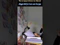 🥹🤗🫀#motivation #studyroutine #cainterpreparation #ytshorts #viral