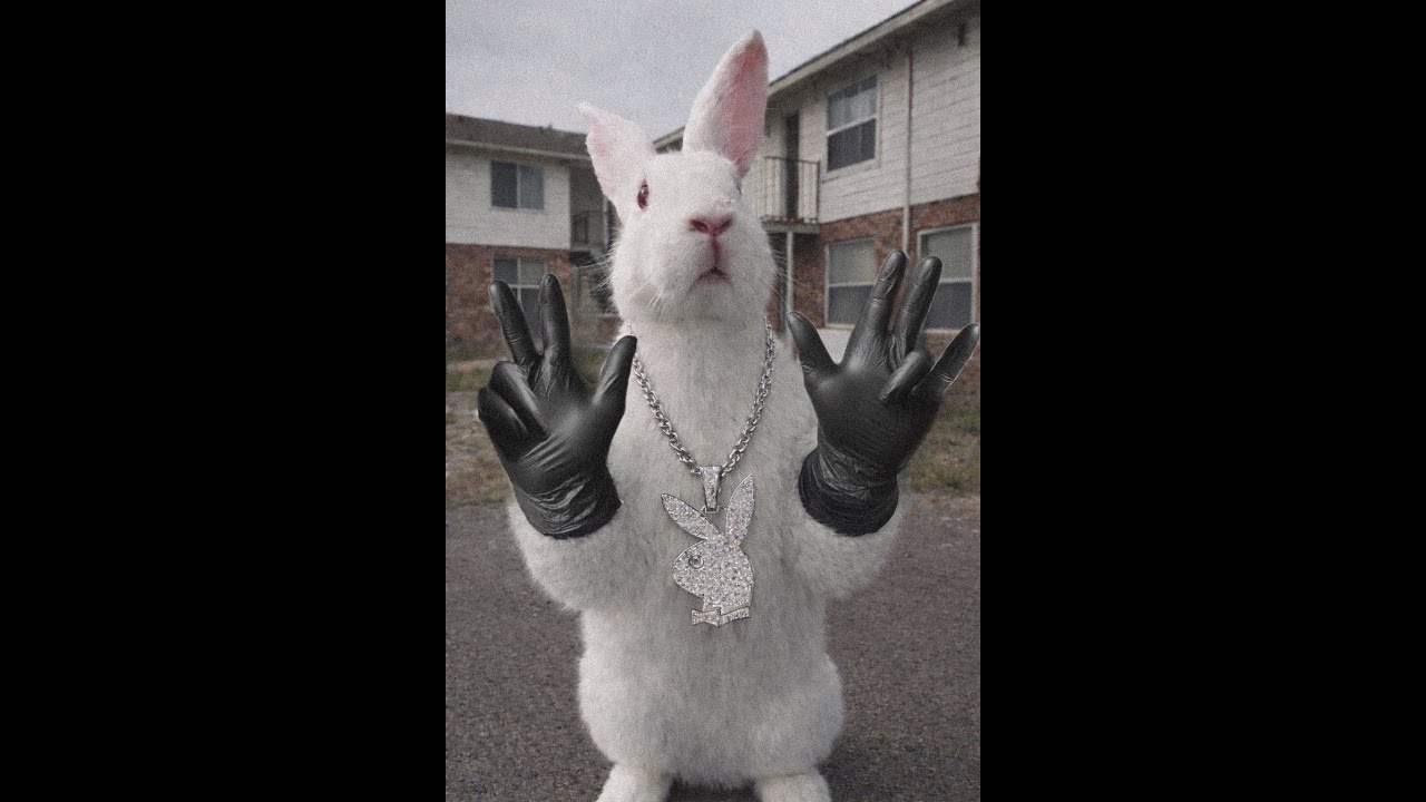 The Lavish - Up In Bed