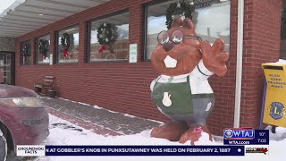 Punxsutawney Phil immortalized with more than 40 statues throughout the area | WTAJ
