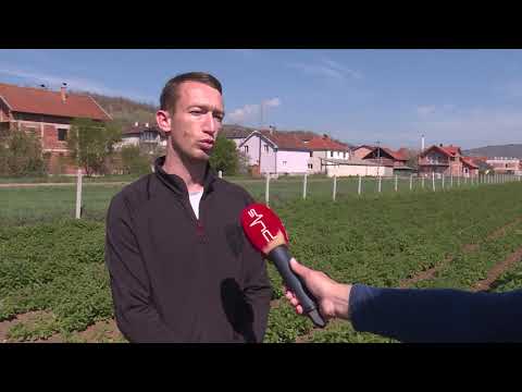 Video: Uzgajanje organskog bilja u vašem vrtu - Kako uzgajati bilje organski