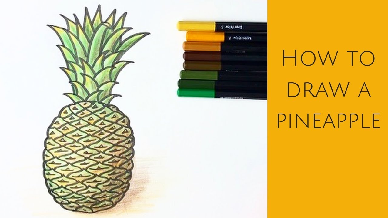 Beginners - how to draw a realistic pineapple - YouTube