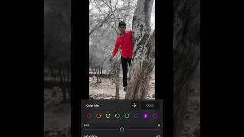 Background color change white and black