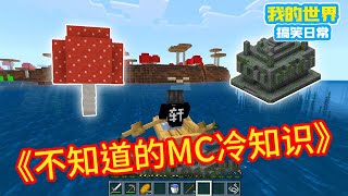 Minecraft：《方块轩热梗合集》，MC老玩家都不知道的冷知识【方块轩】
