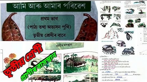 প্ৰাণীৰ বাসস্থান | আমি আৰু আমাৰ পৰিৱেশ | তৃতীয় শ্ৰেণী | পাঠ ৩
