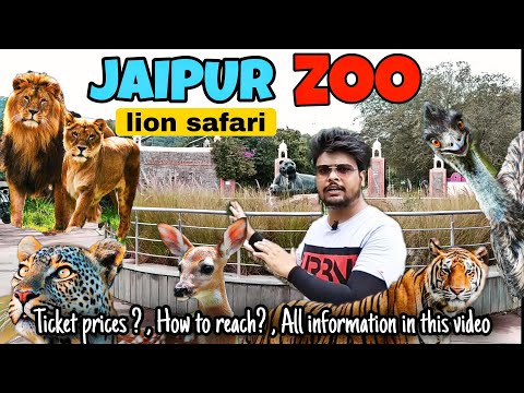 JAIPUR ZOO | नाहरगढ़ बायोलॉजिकल पार्क | NAHARGRAH BIOLOGICAL PARK | JAIPUR LION SAFARI | JAIPUR