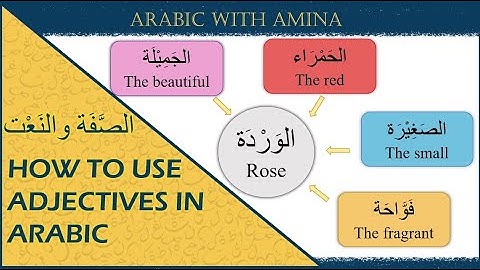 Arabic Adjectives - All You Need to Know