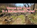 Ramps and Trout in a Spring Creek Forest