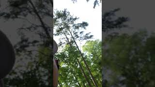 Picking up branches and twigs.