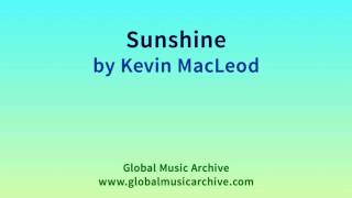 Sunshine by Kevin MacLeod 1 HOUR