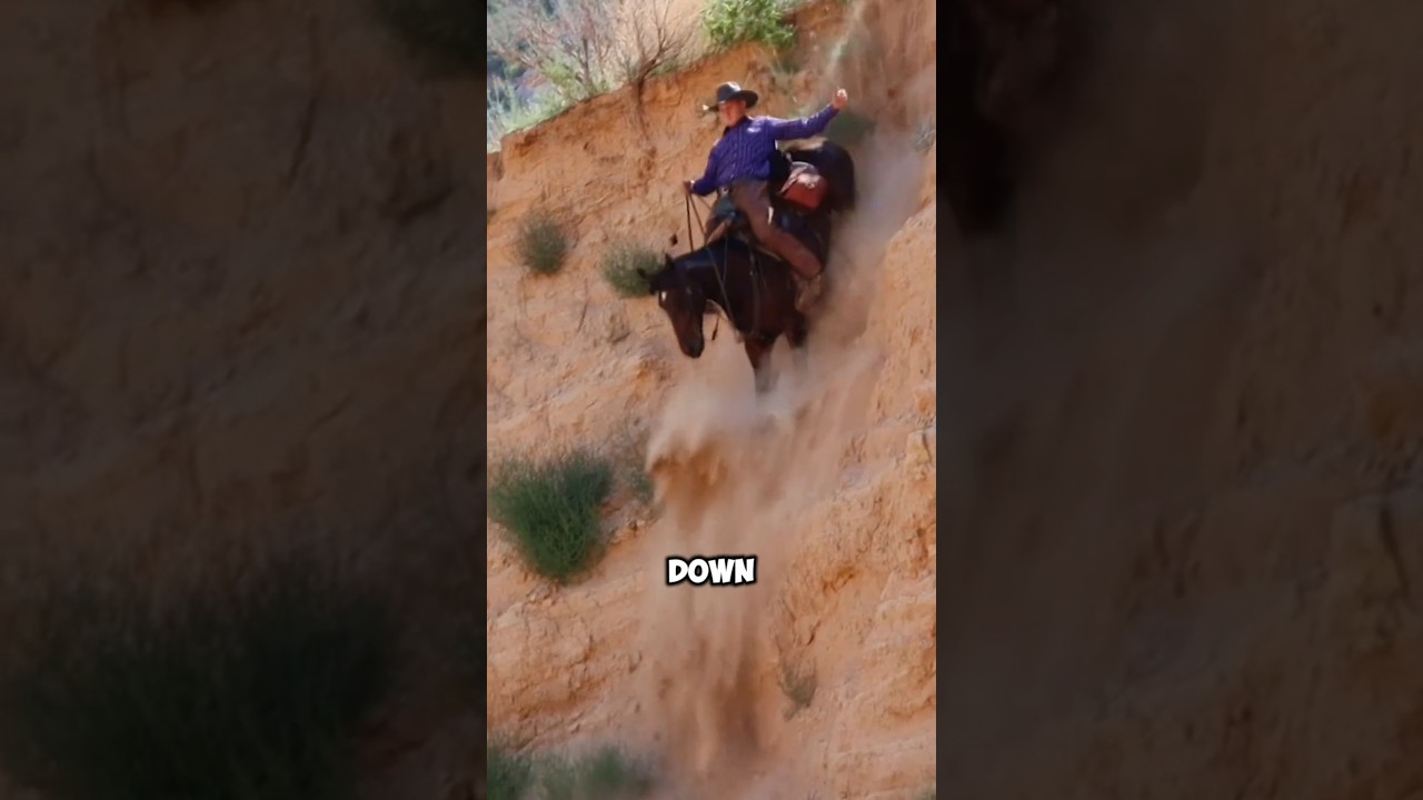 DOWN THE SLOPE ON A HORSE! 