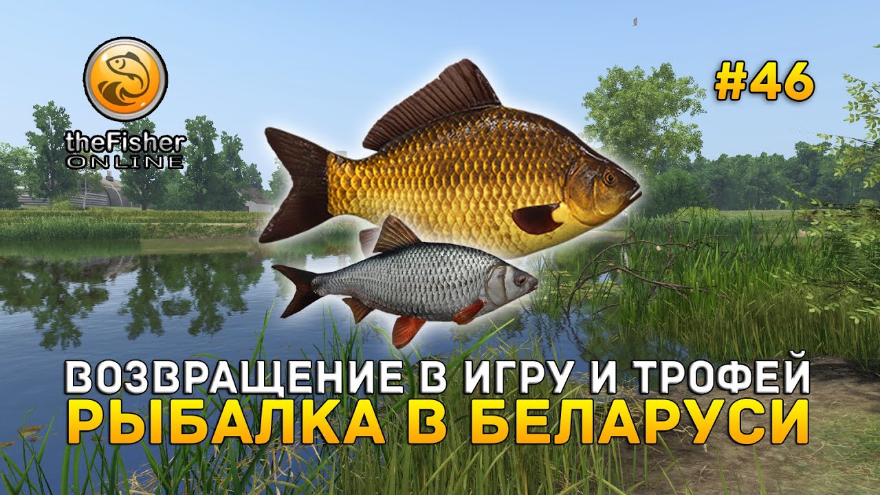 Возвращение в игру и Трофей. Рыбалка в Беларуси - Fisher Online #46